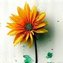 Icon representing a flower turning into droplets of dye.